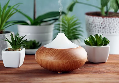 Aromatherapie Huiles Essentielles à Lille Vauban